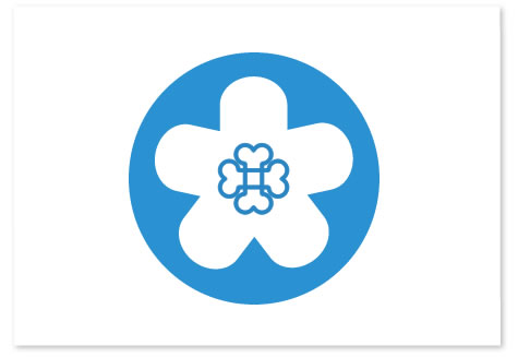 ���n�r����